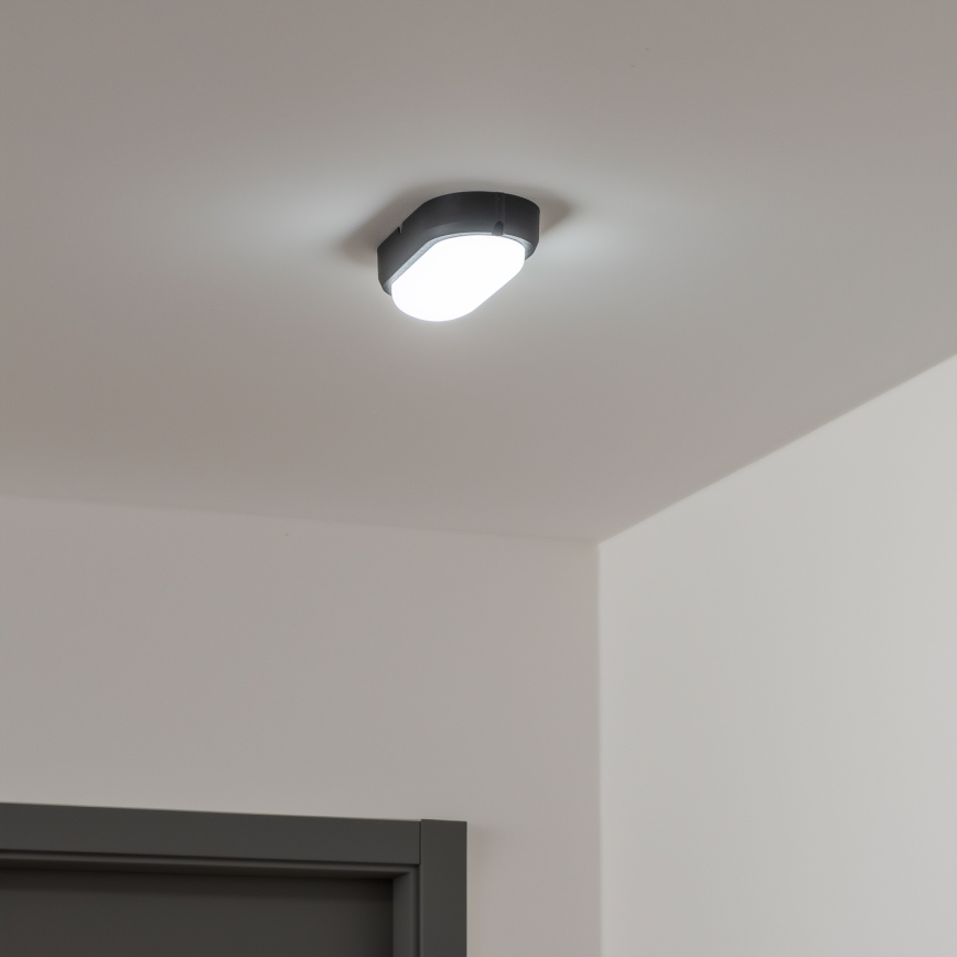 Brilagi - LED Plafondarmatuur industrieverlichting SIMA LED/12W/230V IP65 zwart