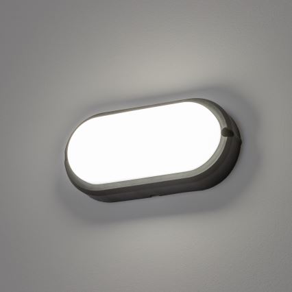 Brilagi - LED Plafondarmatuur industrieverlichting SIMA LED/12W/230V IP65 zwart