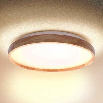 Brilagi - LED Plafondlamp ALSON LED/24W/230V eiken