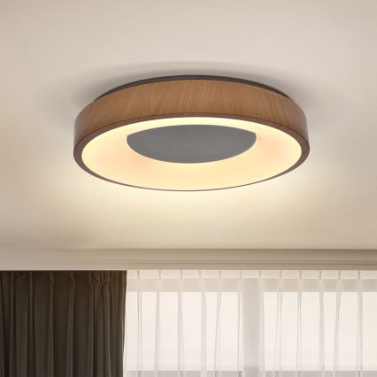 Brilagi - LED Plafondlamp DORIA LED/24W/230V