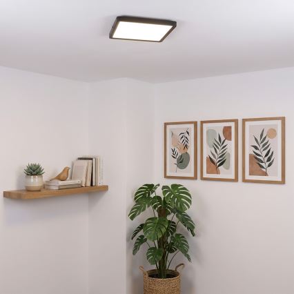 Brilagi - LED-plafondlamp ESTELA SQUARE LED/24W/230V 31x31 cm zwart