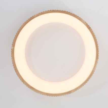 Brilagi - LED plafondlamp FALCON WOOD MODERN LED/40W/230V 3000/4000/6000K Ø 60 cm hout