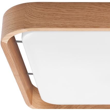 Brilagi - LED dimbare plafondlamp MANAROLA CUBIC LED/24W/230V 3000-6500K eiken + afstandsbediening