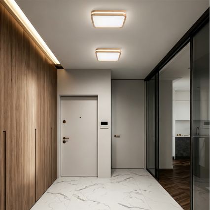 Brilagi - LED plafondlamp MOLINA SQUARE LED/32W/230V 3000/4000/6000K eiken 30x30 cm
