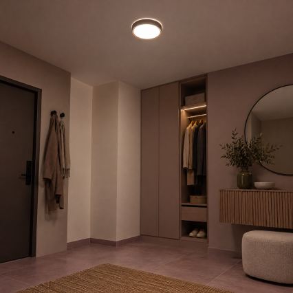 BRILAGI - LED plafondlamp NATURA LED/12W/230V 4000K Ø 26,3 cm