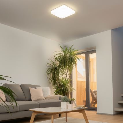 Brilagi - LED Plafondlamp PLAIN LED/24W/230V 3000K