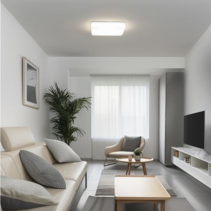 Brilagi - LED Plafondlamp PLAIN LED/24W/230V 3000K