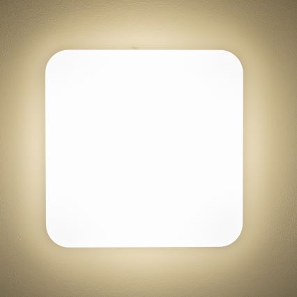 Brilagi - LED Plafondlamp PLAIN LED/24W/230V 3000K