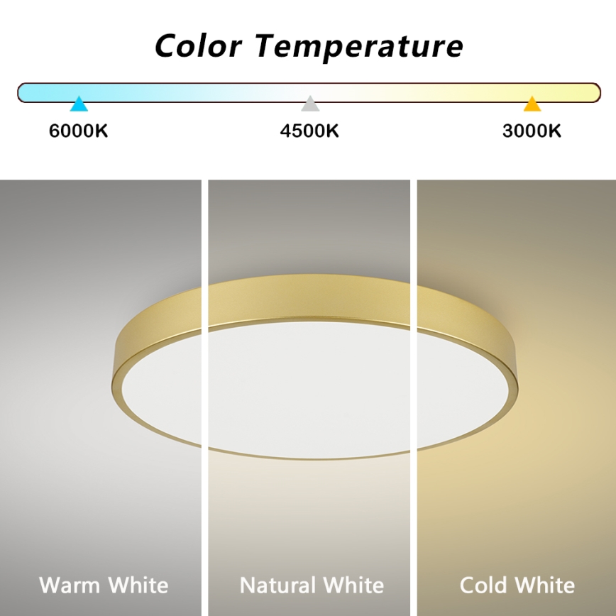 Brilagi - LED plafondlamp POOL LED/100W/230V 3000/4000/6000K Ø 80 cm goudkleurig