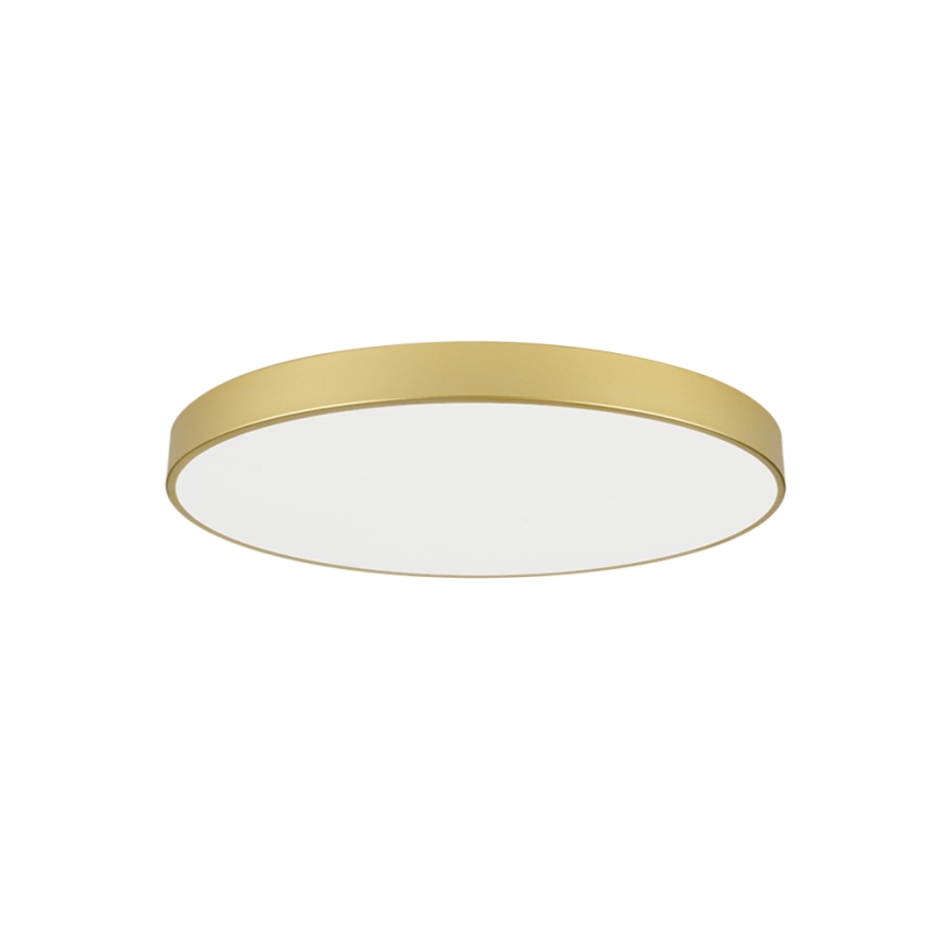 Brilagi - LED plafondlamp POOL LED/100W/230V 3000/4000/6000K Ø 80 cm goudkleurig