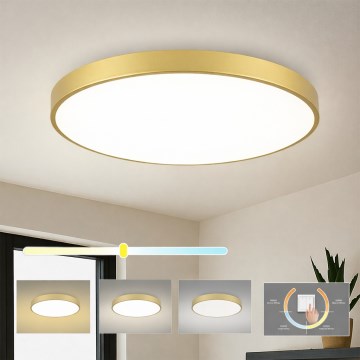Brilagi - LED plafondlamp POOL LED/100W/230V 3000/4000/6000K Ø 80 cm goudkleurig