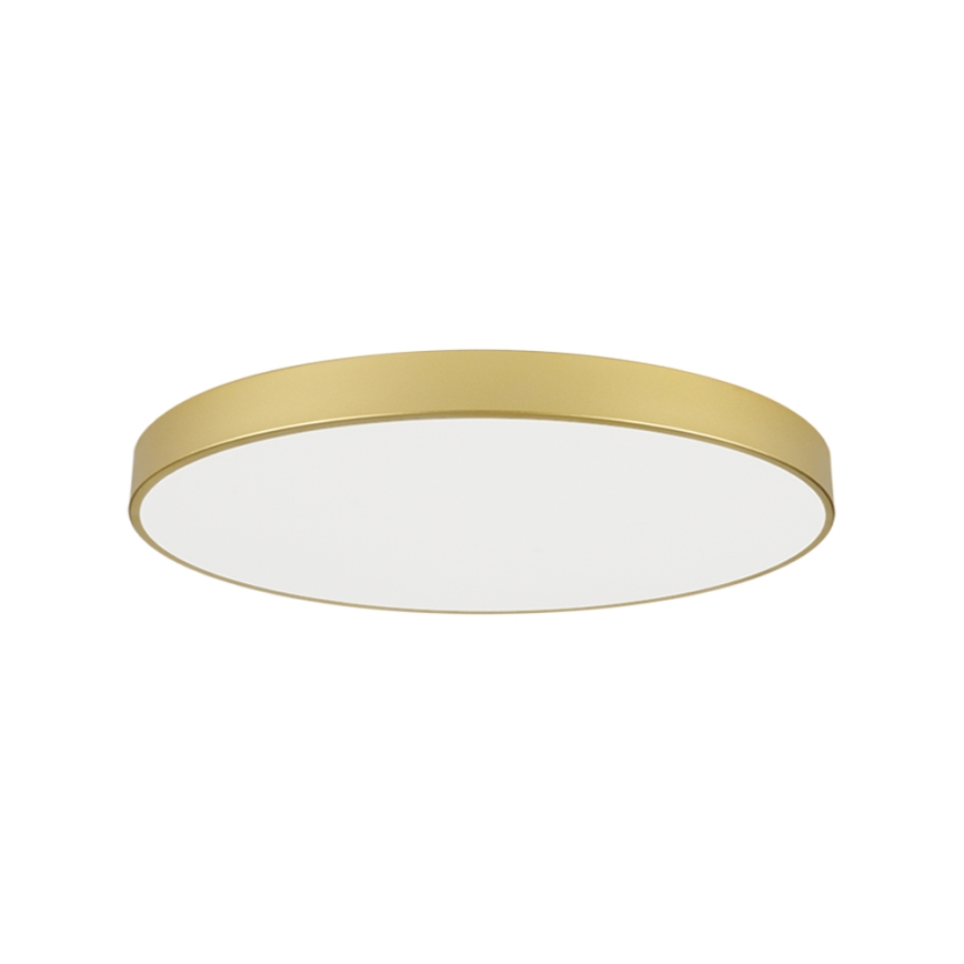 Brilagi - LED plafondlamp POOL LED/128W/230V 3000/4000/6000K Ø 100 cm goudkleurig