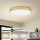 Brilagi - LED plafondlamp POOL LED/128W/230V 3000/4000/6000K Ø 100 cm goudkleurig