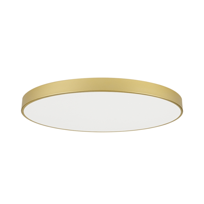 Brilagi - LED plafondlamp POOL LED/180W/230V 3000/4000/6000K Ø 120 cm goudkleurig