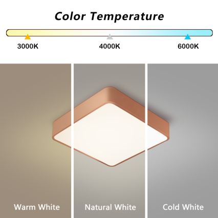 Brilagi - LED plafondlamp POOL LED/36W/230V 3000/4000/6000K 40x40 cm bronskleurig