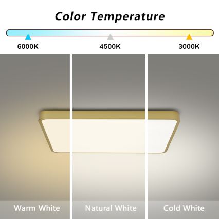 Brilagi - LED-plafondlamp POOL LED/36W/230V 3000/4500/6000K 40x40 cm goudkleurig