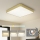 Brilagi - LED plafondlamp POOL LED/48W/230V 3000/4000/6000K 50x50 cm goud