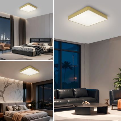 Brilagi - LED plafondlamp POOL LED/48W/230V 3000/4000/6000K 50x50 cm goud