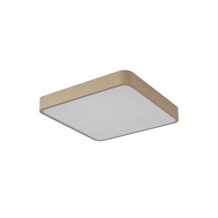Brilagi - LED plafondlamp POOL LED/48W/230V 3000/4500/6000K 50x50 cm beige
