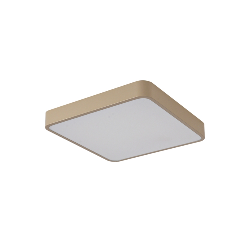 Brilagi - LED plafondlamp POOL LED/48W/230V 3000/4500/6000K 50x50 cm beige