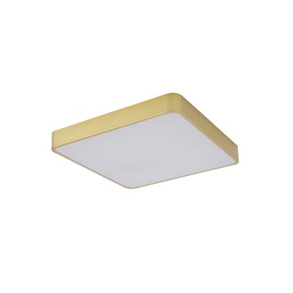 Brilagi - LED plafondlamp POOL LED/48W/230V 3000/4500/6000K 50x50 cm goudkleurig