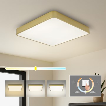 Brilagi - LED plafondlamp POOL SQUARE LED/36W/230V 3000/4000/6000K 40x40 cm goudkleurig
