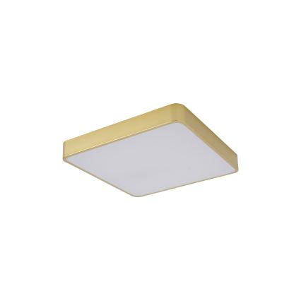 BRILAGI - LED plafondlamp POOL SQUARE LED/36W/230V 3000/4000/6000K 40x40 cm goudkleurig