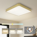 Brilagi - LED plafondlamp POOL SQUARE LED/48W/230V 3000/4000/6000K 50x50 cm goud