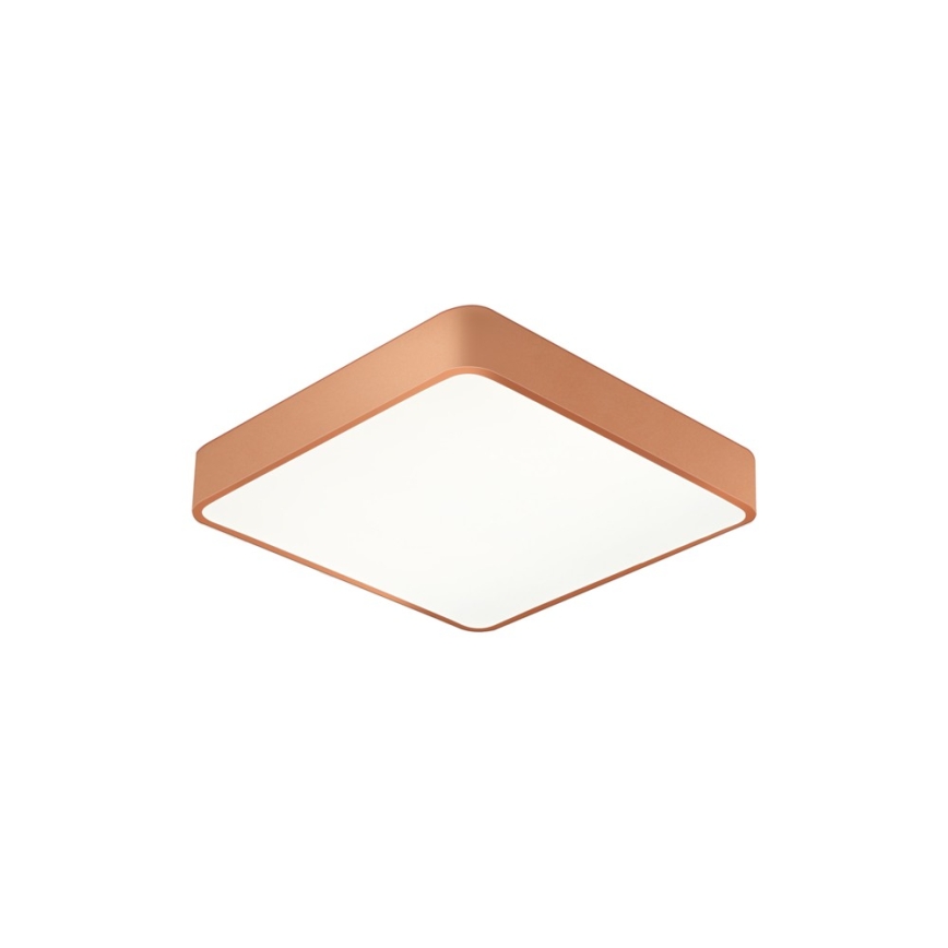 BRILAGI - LED plafondlamp POOL SQUARE LED/48W/230V 3000/4000/6000K 50x50 cm koperkleurig