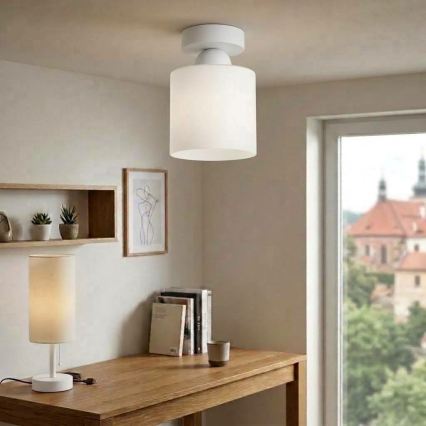 BRILAGI - LED plafondlamp RETRO GLASS 1xE27/60W/230V Ø 10 cm wit