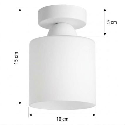 BRILAGI - LED plafondlamp RETRO GLASS 1xE27/60W/230V Ø 10 cm wit