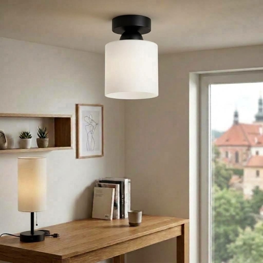 BRILAGI - LED plafondlamp RETRO GLASS 1xE27/60W/230V Ø 10 cm zwart/wit