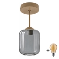 BRILAGI - LED plafondlamp RETRO GLASS 1xE27/60W/230V Ø 14 cm beige/rookgrijs