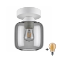 BRILAGI - LED plafondlamp RETRO GLASS 1xE27/60W/230V Ø 14 cm wit/rookgrijs