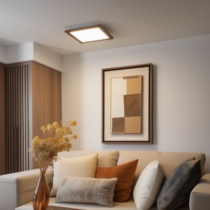 Brilagi - LED Plafondlamp SLIMFRAME WOOD LED/36W/230V 49,5x49,5 cm bruin