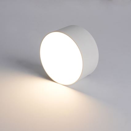 Brilagi - LED plafondlamp voor badkamer FORIS LED/14W/230V Ø 12 cm wit IP44