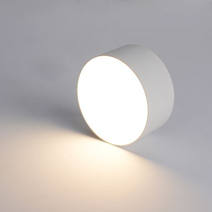 Brilagi - LED plafondlamp voor badkamer FORIS LED/20W/230V Ø 15 cm wit IP44