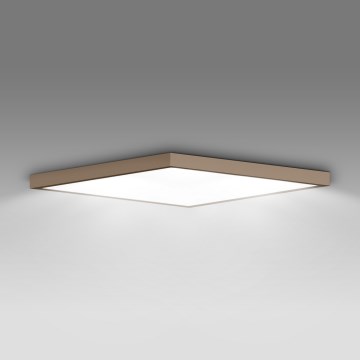 Brilagi - LED plafondlamp voor badkamer FRAME LED/50W/230V 60x60 cm IP44 beige