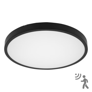 Brilagi - LED plafondlamp voor badkamer met sensor ZENNA LED/24W/230V Ø 35 cm IP44 zwart