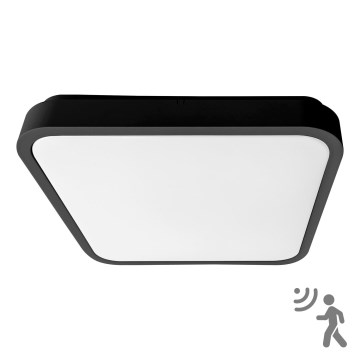 BRILAGI - LED plafondlamp voor badkamer met sensor ZENNA LED/36W/230V 41,5x41,5 cm IP44 zwart + met afstandsbediening