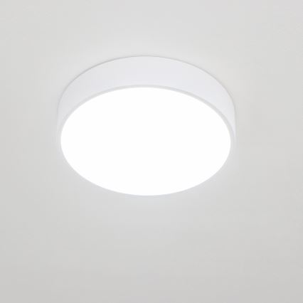 Brilagi - LED badkamerplafondlamp POOL LED/24W/230V 3000/4000/5500K Ø 30 cm IP54 wit