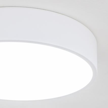 Brilagi - LED badkamerplafondlamp POOL LED/24W/230V 3000/4000/5500K Ø 30 cm IP54 wit