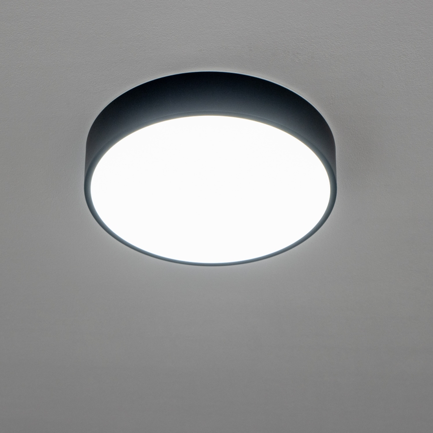 Brilagi - LED badkamerplafondlamp POOL LED/24W/230V 3000/4000/5500K Ø 30 cm IP54 zwart