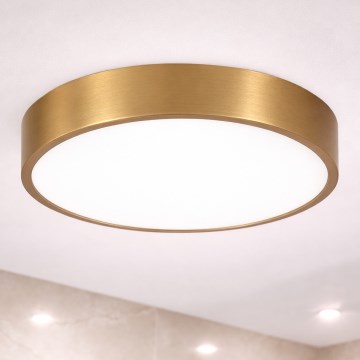Brilagi - LED-plafondlamp voor badkamer POOL LED/36W/230V 3000/4000/5500K Ø 40 cm IP54 brons