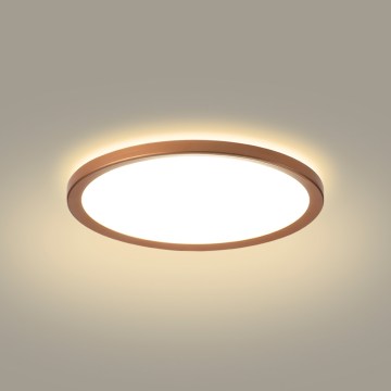Brilagi - LED plafondlamp voor badkamer ULTRA SLIM LED/12W/230V Ø 22,5 cm roségoud IP54