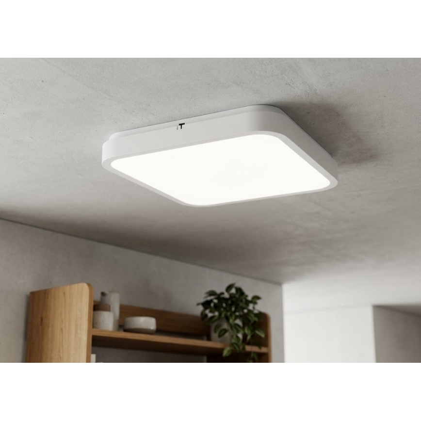 BRILAGI - LED plafondlamp voor badkamer ZENNA LED/24W/230V 34,5x34,5 cm IP44 wit