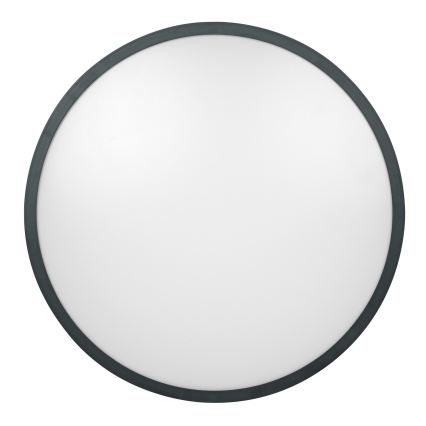 Brilagi - LED-plafondlamp ZENNA voor de badkamer LED/24W/230V Ø 35 cm IP44 antraciet