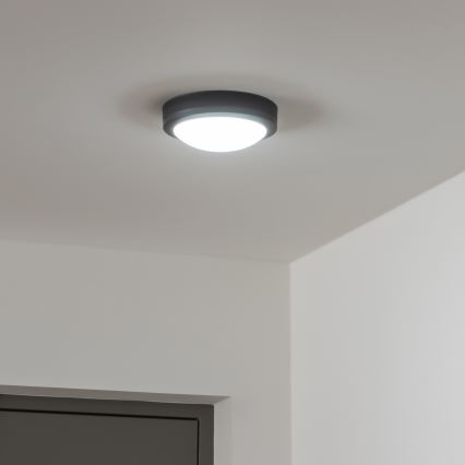 Brilagi - LED Plafondlamp voor buiten LED/13W/230V diameter 17 cm IP54 antraciet
