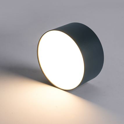 Brilagi - LED-badkamerplafondlamp FORIS LED/20W/230V Ø 15 cm antraciet IP44