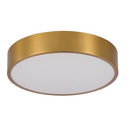 Brilagi - LED plafondlamp voor badkamer POOL LED/24W/230V 3000/4000/5500K Ø 30 cm IP54 brons